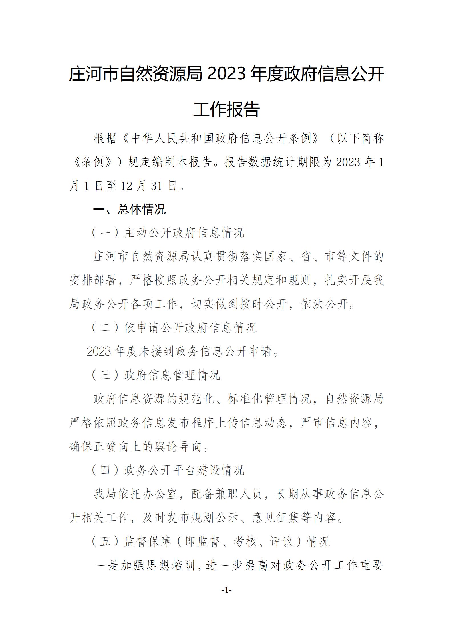 附件2：政府信息公开工作年度报告格式模板 - 副本_01.jpg