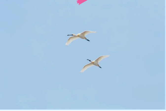 1710810390995.png