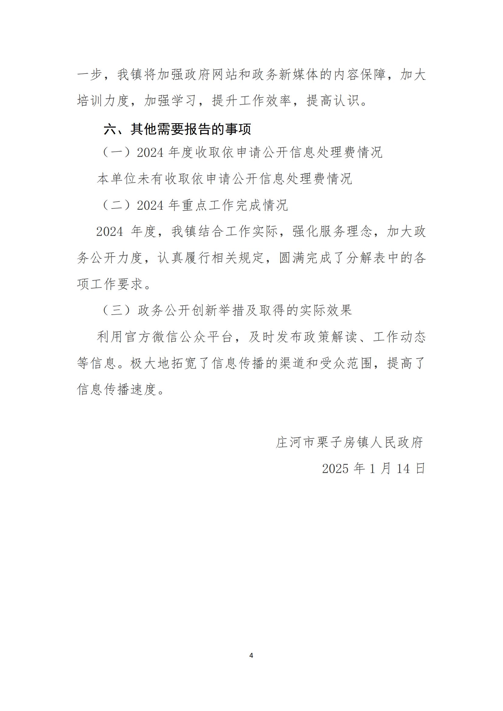 附件2：政府信息公开工作年报格式模板_03.jpg